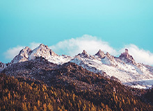 开云体育网页版入口：开启观赛与投注的新纪元